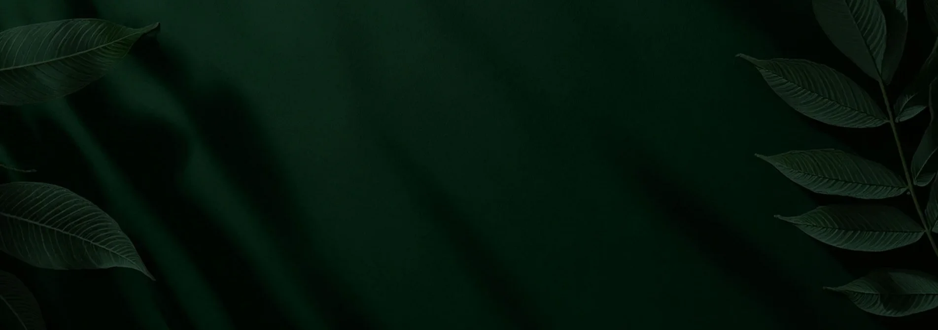 Hintergrundverlauf