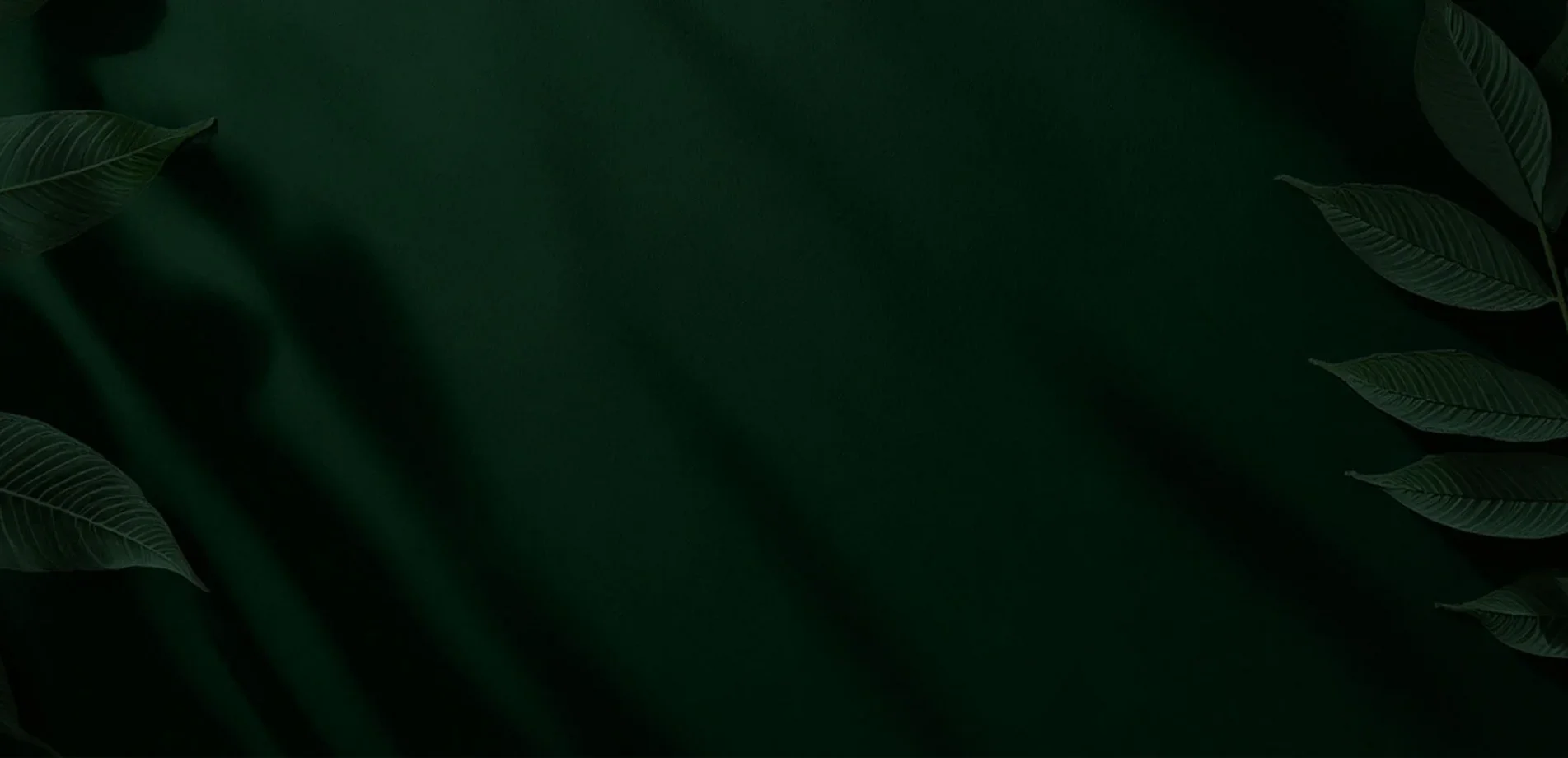 Hintergrundverlauf